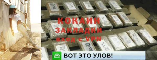 гидра Горно-Алтайск