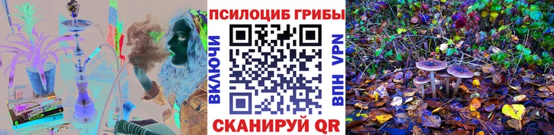 mega tor  Облучье  Псилоцибиновые грибы мухоморы  магазин продажи наркотиков 
